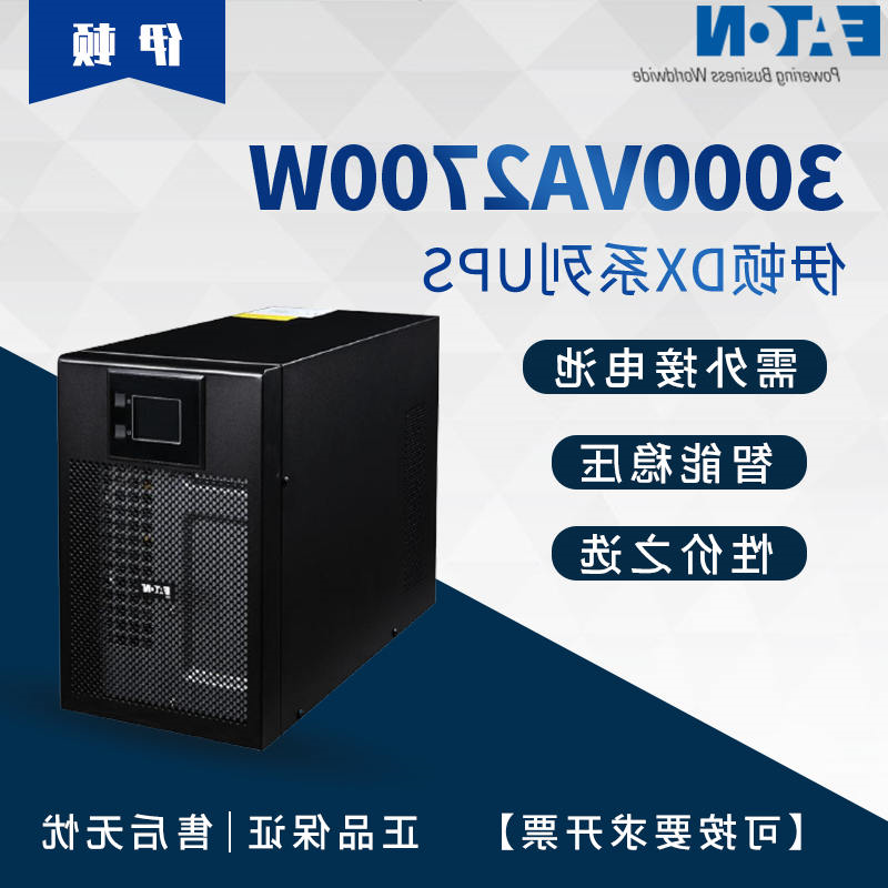 ʽDXϵ\\3000VA270